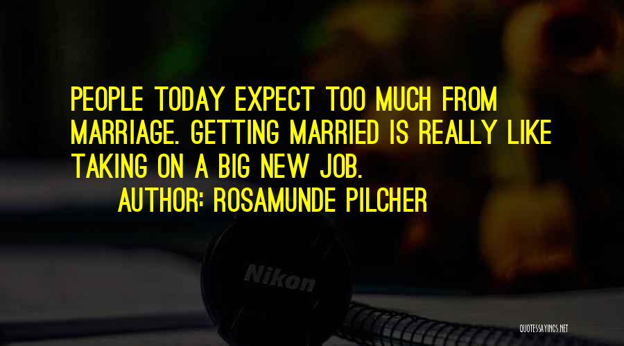 Taking A New Job Quotes By Rosamunde Pilcher