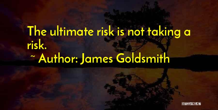 Taking A Risk Quotes By James Goldsmith