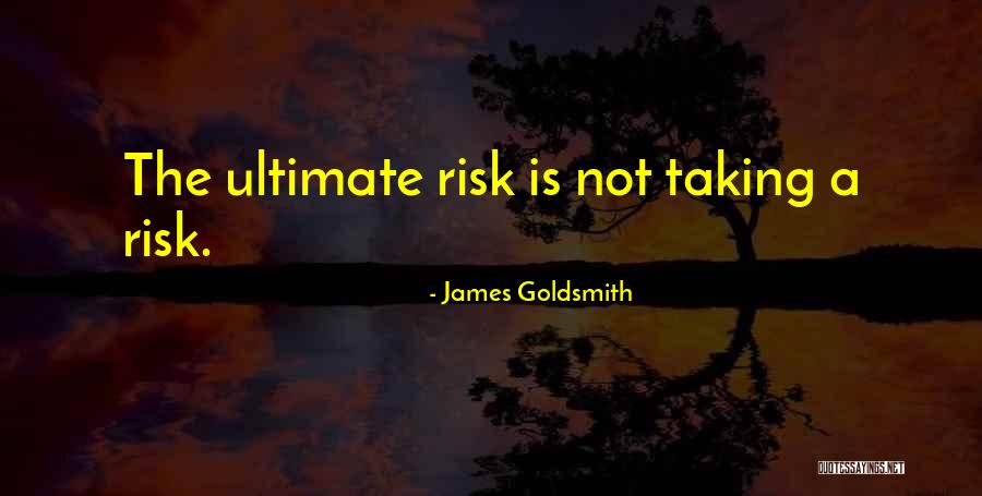 Taking A Risk Quotes By James Goldsmith