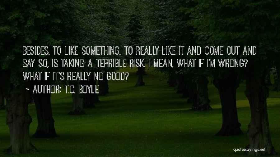 Taking A Risk Quotes By T.C. Boyle