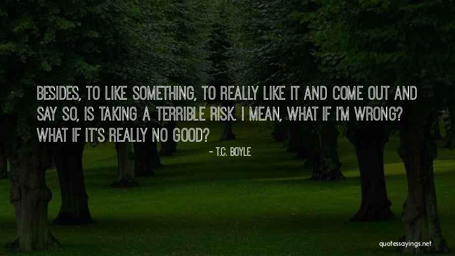 Taking A Risk Quotes By T.C. Boyle