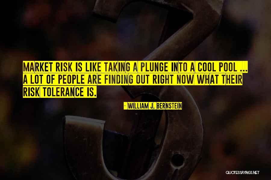 Taking A Risk Quotes By William J. Bernstein