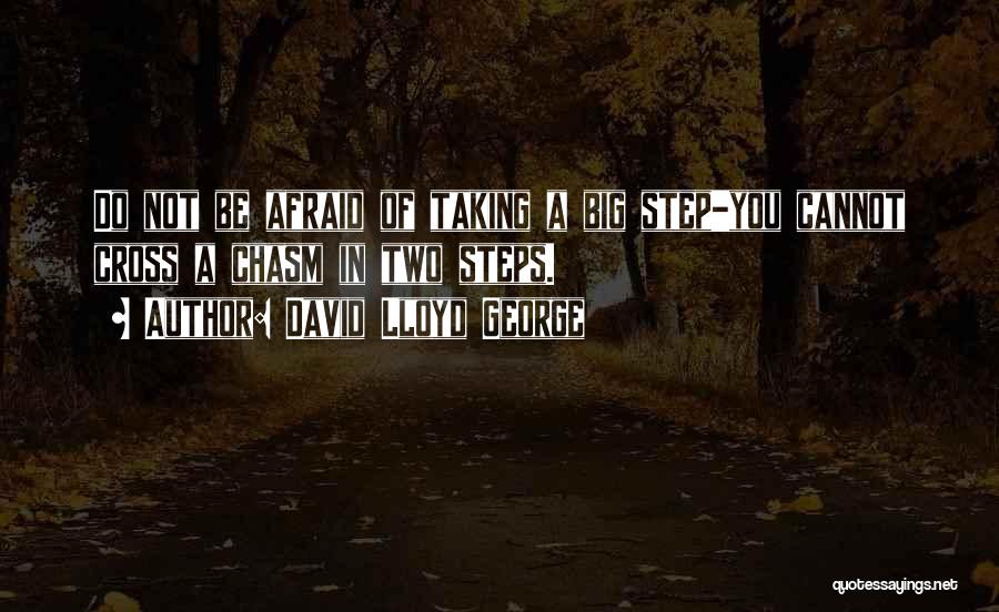 Taking Big Step Quotes By David Lloyd George