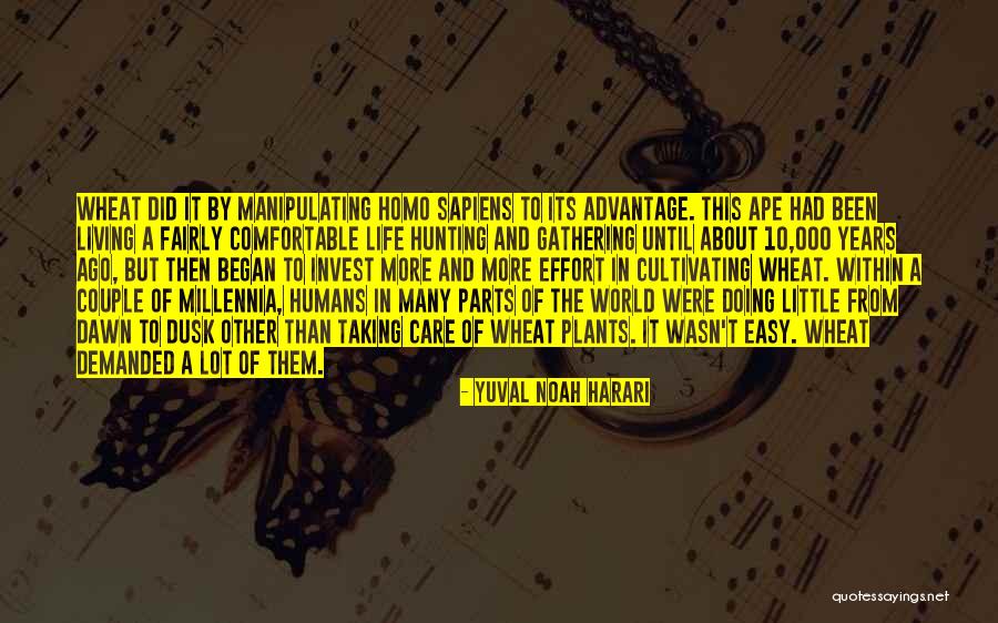 Taking Care Of Plants Quotes By Yuval Noah Harari Taking Care Of Plants Quotes By Yuval Noah Harari