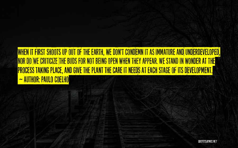 Taking Care Of The Earth Quotes By Paulo Coelho