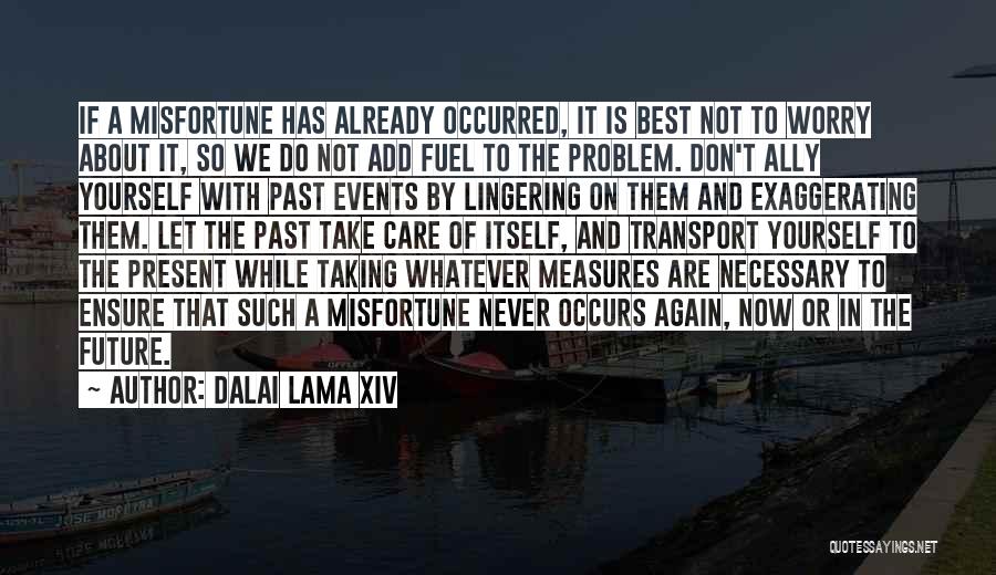 Taking Care Of Yourself Quotes By Dalai Lama XIV