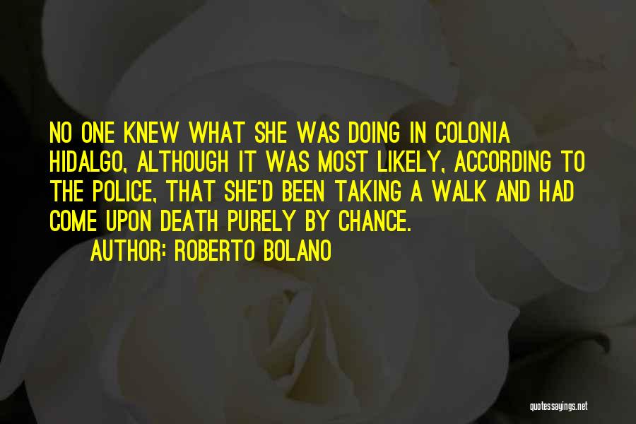 Taking Chance Quotes By Roberto Bolano