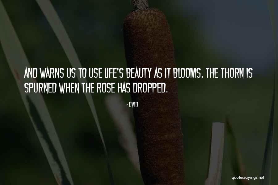 Taking Chances And Risk Quotes By Ovid Taking Chances And Risk Quotes By Ovid
