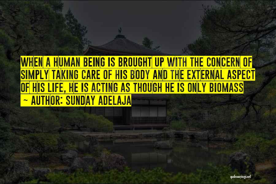 Taking Human Life Quotes By Sunday Adelaja