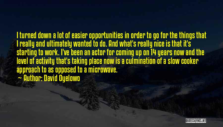 Taking It Slow Quotes By David Oyelowo