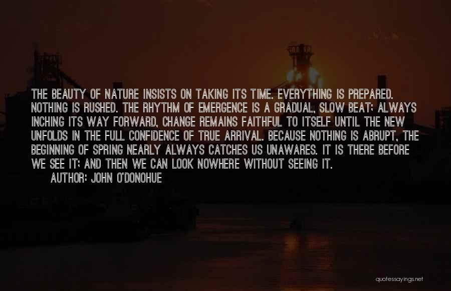 Taking It Slow Quotes By John O'Donohue