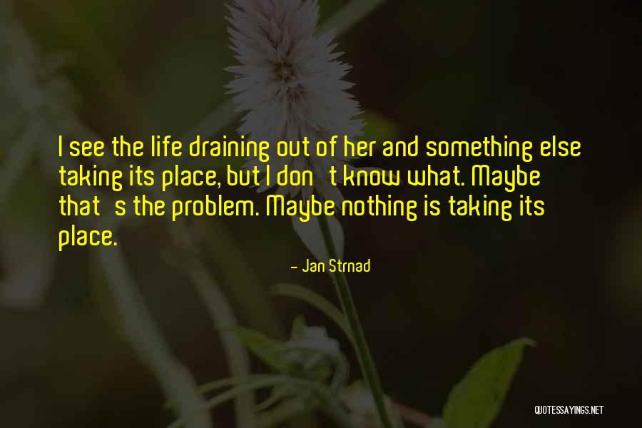 Taking Life As It Comes Quotes By Jan Strnad Taking Life As It Comes Quotes By Jan Strnad