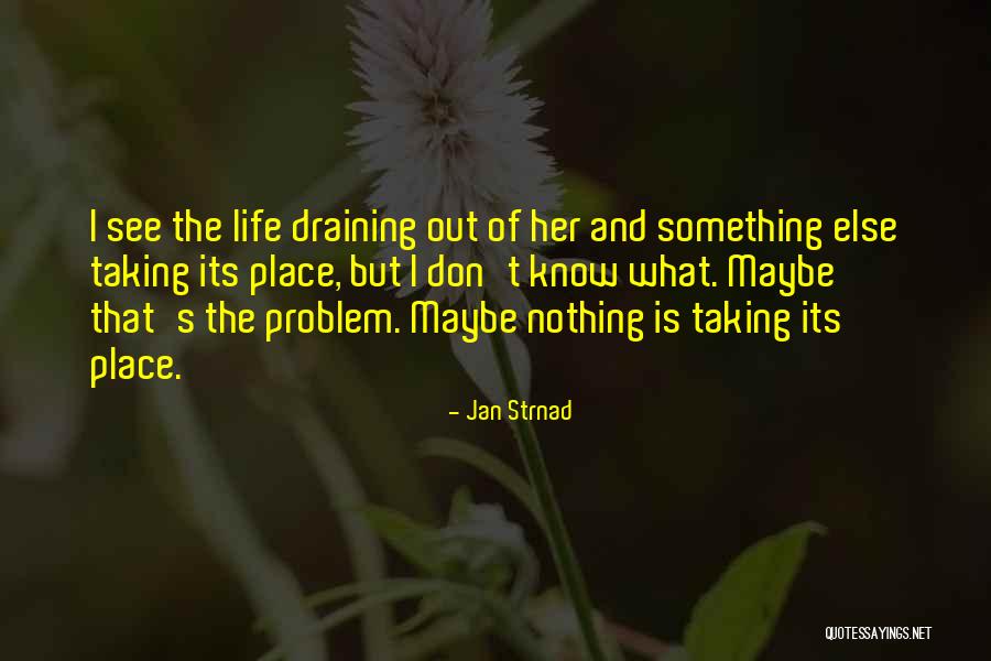 Taking Life As It Comes Quotes By Jan Strnad