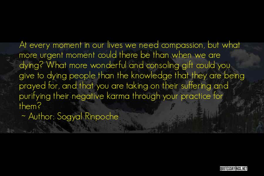 Taking More Than You Give Quotes By Sogyal Rinpoche