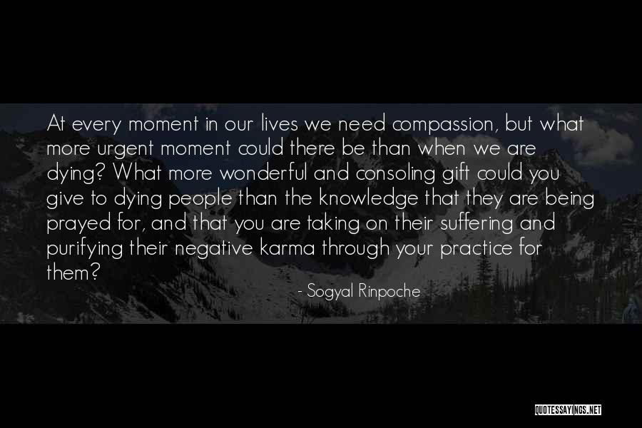Taking More Than You Need Quotes By Sogyal Rinpoche Taking More Than You Need Quotes By Sogyal Rinpoche