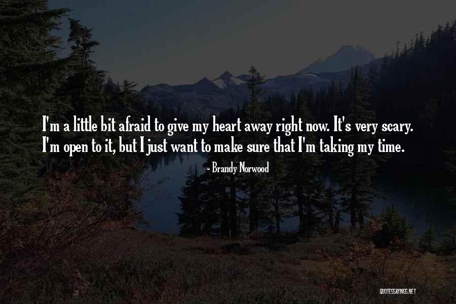 Taking My Time Quotes By Brandy Norwood