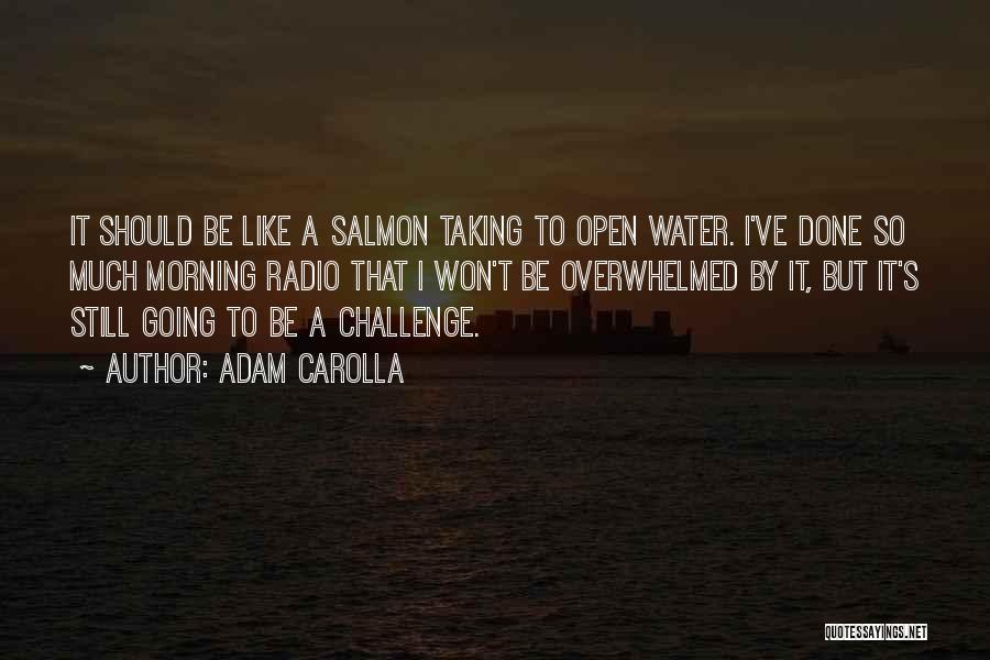 Taking On Challenges Quotes By Adam Carolla