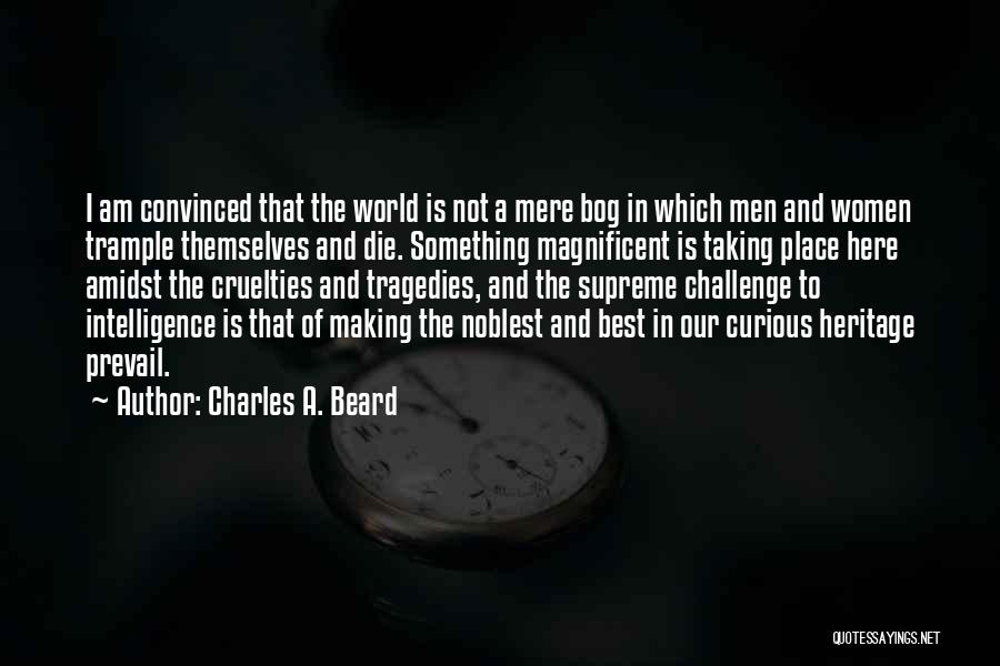 Taking On Challenges Quotes By Charles A. Beard