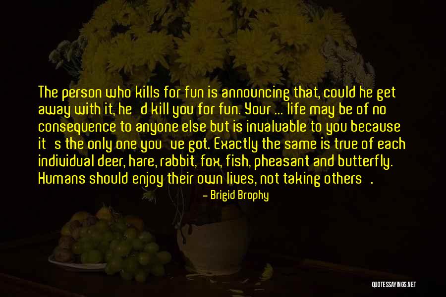 Taking One's Life Quotes By Brigid Brophy Taking One's Life Quotes By Brigid Brophy