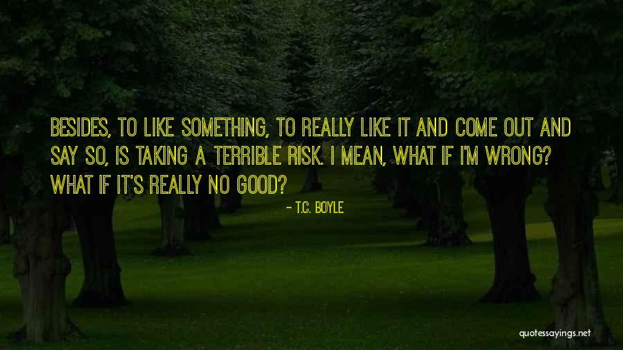 Taking Risk Quotes By T.C. Boyle Taking Risk Quotes By T.C. Boyle