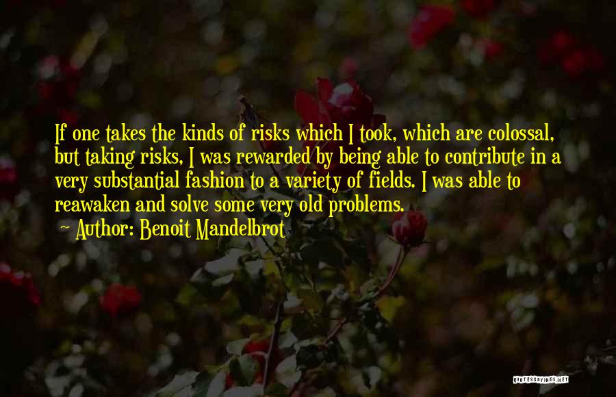 Taking Risks For Someone Quotes By Benoit Mandelbrot