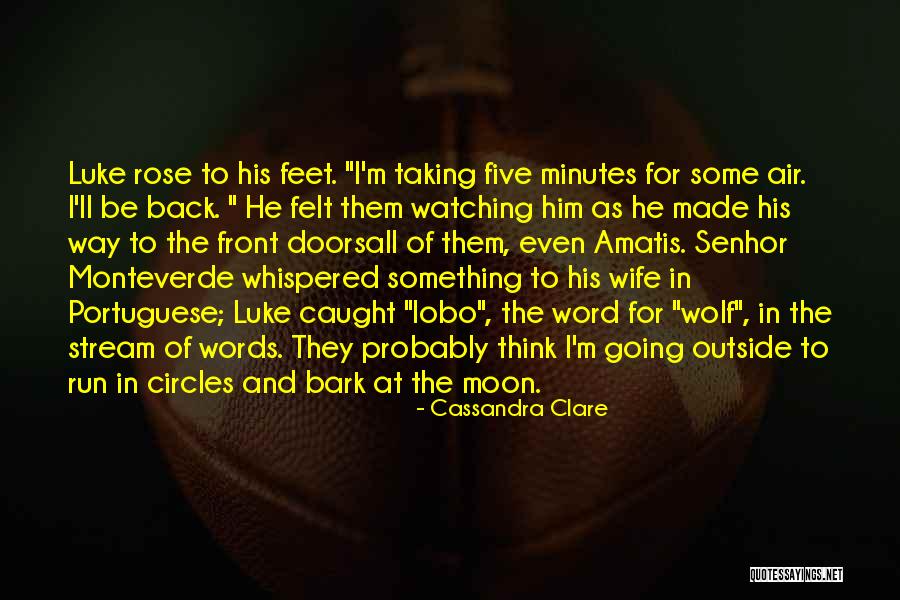Taking Something Back Quotes By Cassandra Clare Taking Something Back Quotes By Cassandra Clare