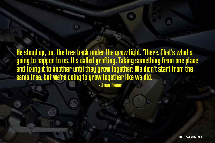 Taking Something Back Quotes By Joan Bauer Taking Something Back Quotes By Joan Bauer