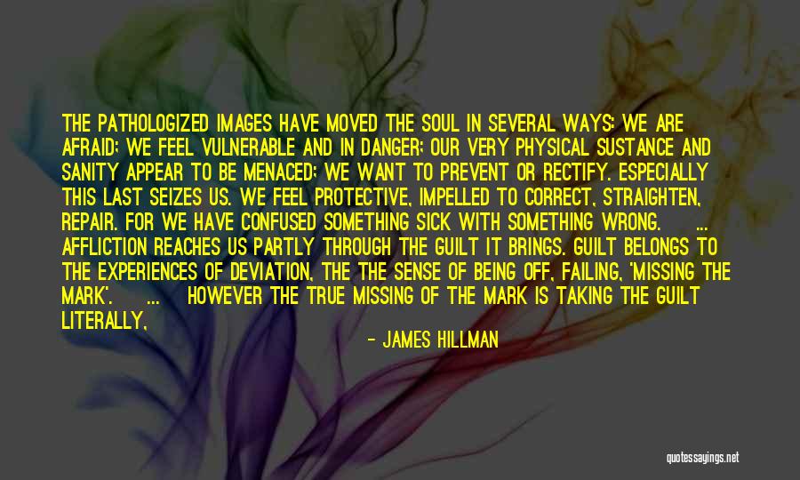 Taking Something The Wrong Way Quotes By James Hillman