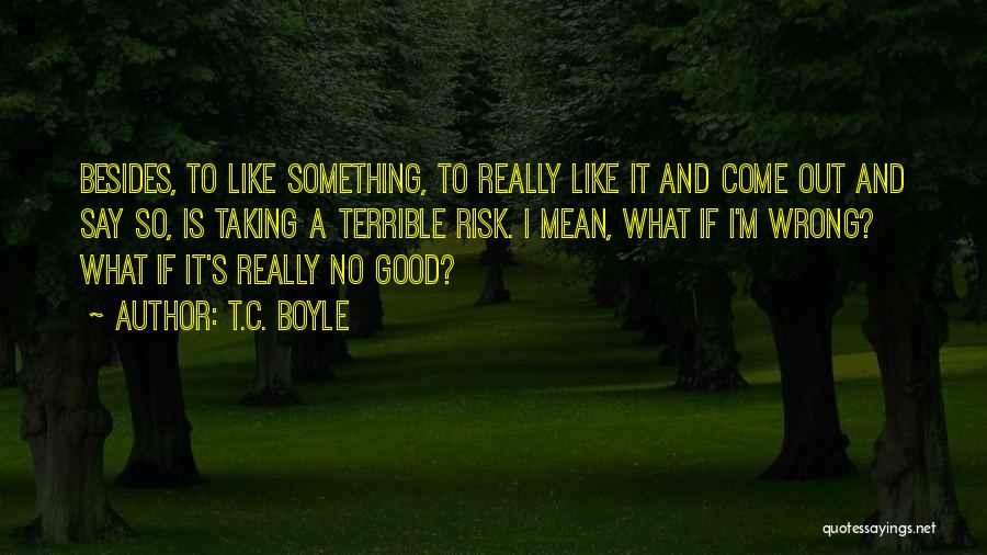 Taking Something The Wrong Way Quotes By T.C. Boyle