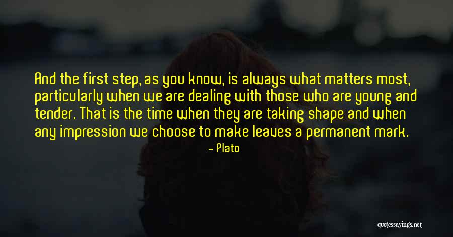 Taking The First Step Quotes By Plato