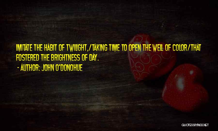 Taking Things One Day At A Time Quotes By John O'Donohue