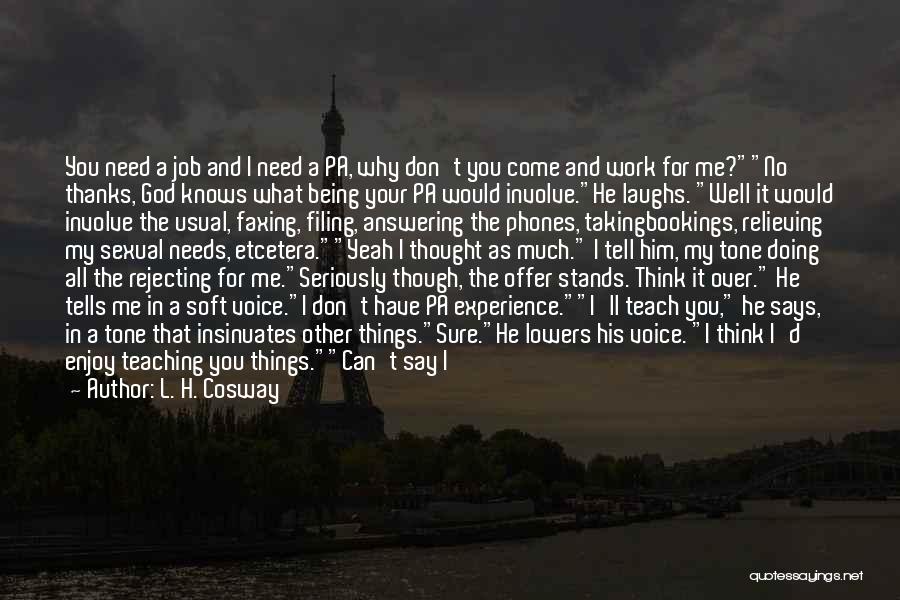 Taking Work Too Seriously Quotes By L. H. Cosway