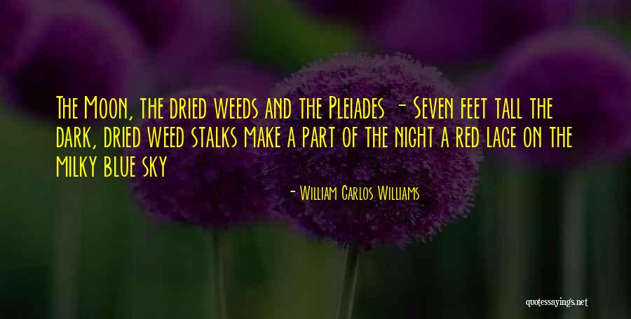 Taking You For Granted Love Quotes By William Carlos Williams