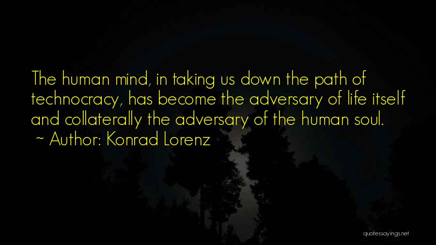 Taking Your Own Path In Life Quotes By Konrad Lorenz
