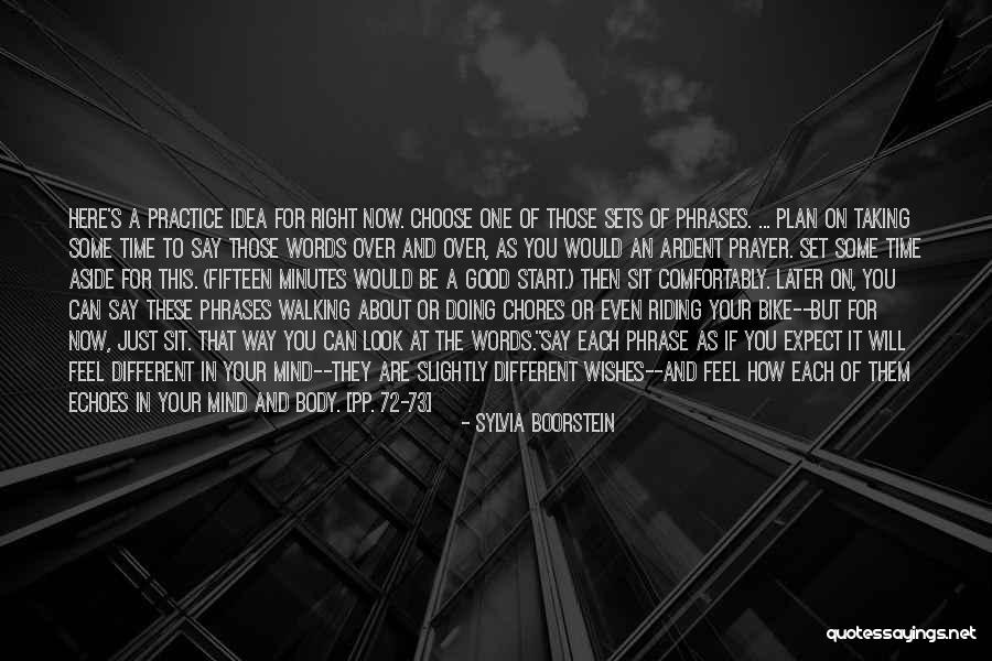 Taking Your Time Quotes By Sylvia Boorstein Taking Your Time Quotes By Sylvia Boorstein