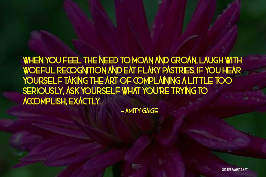 Taking Yourself Seriously Quotes By Amity Gaige