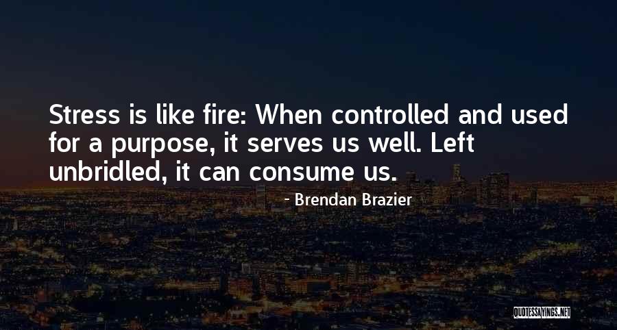 Taklitci Quotes By Brendan Brazier Taklitci Quotes By Brendan Brazier