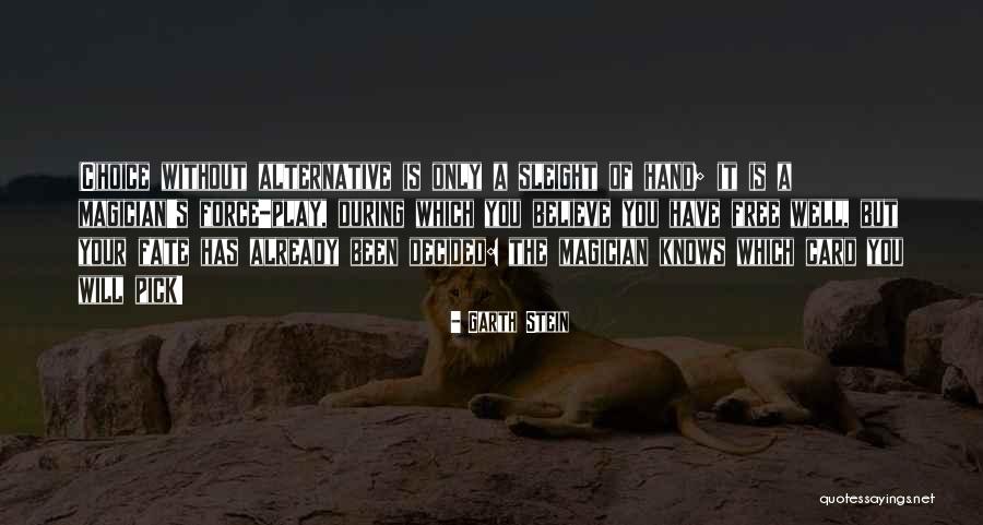 Takoda Dogs Quotes By Garth Stein Takoda Dogs Quotes By Garth Stein