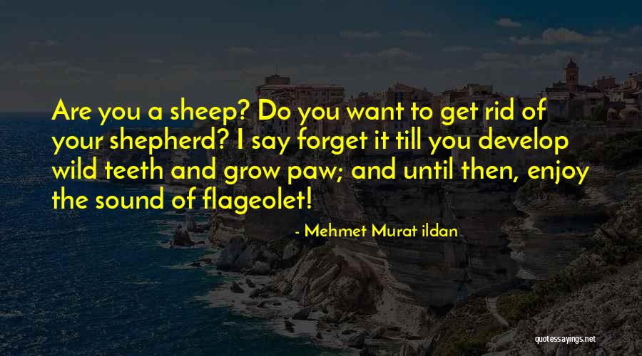 Takodana Quotes By Mehmet Murat Ildan Takodana Quotes By Mehmet Murat Ildan