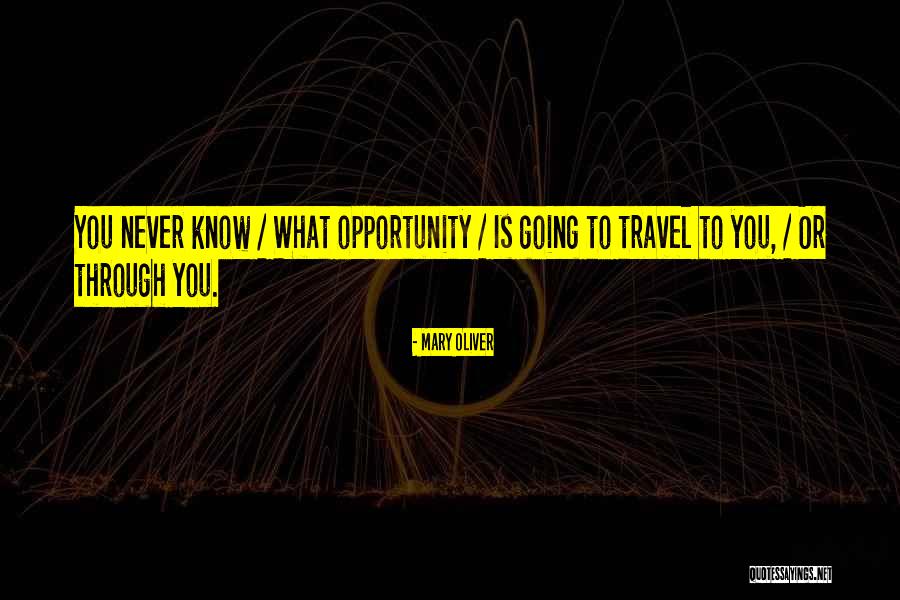 Taksonyi Hentes Quotes By Mary Oliver Taksonyi Hentes Quotes By Mary Oliver