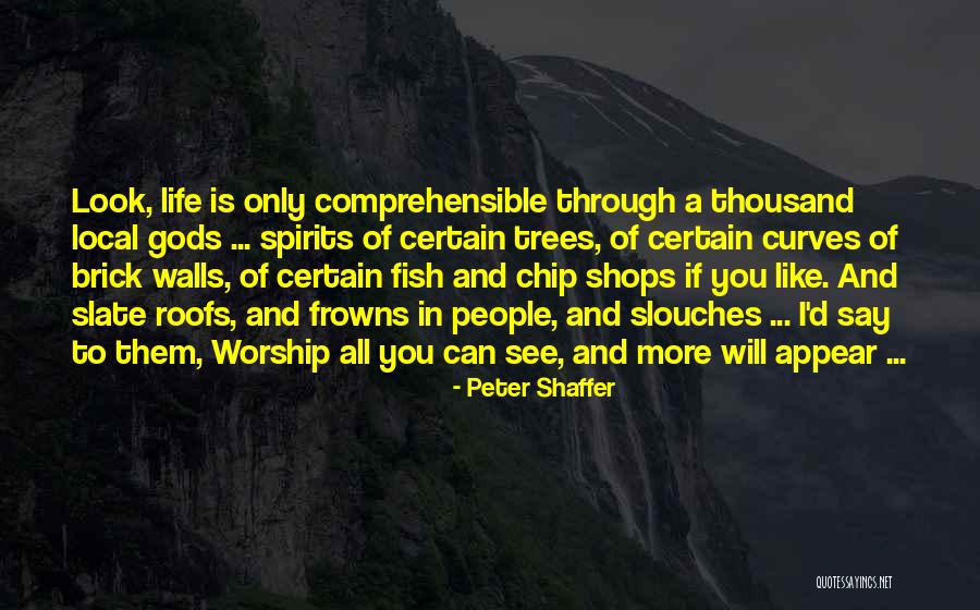 Takubo Clam Quotes By Peter Shaffer Takubo Clam Quotes By Peter Shaffer