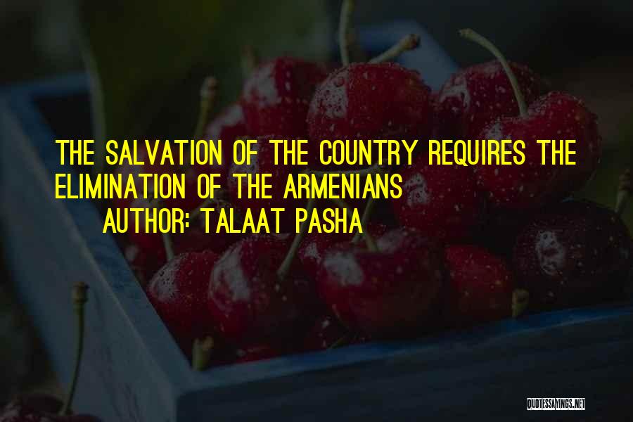 Talaat Pasha Quotes 1691820