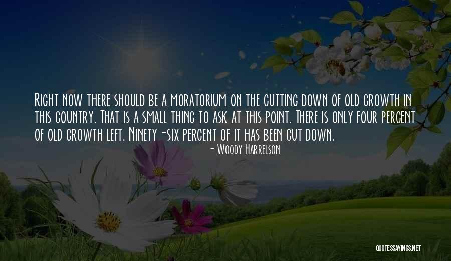 Taladros Makita Quotes By Woody Harrelson Taladros Makita Quotes By Woody Harrelson