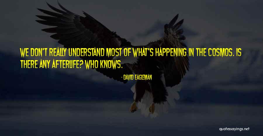 Talante Significado Quotes By David Eagleman Talante Significado Quotes By David Eagleman