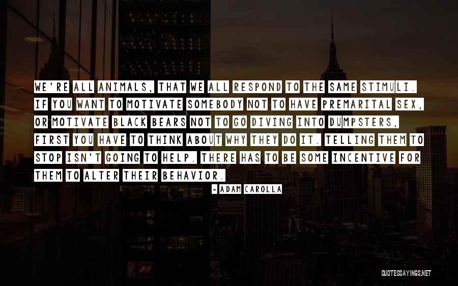Talarczyk Katarzyna Quotes By Adam Carolla Talarczyk Katarzyna Quotes By Adam Carolla