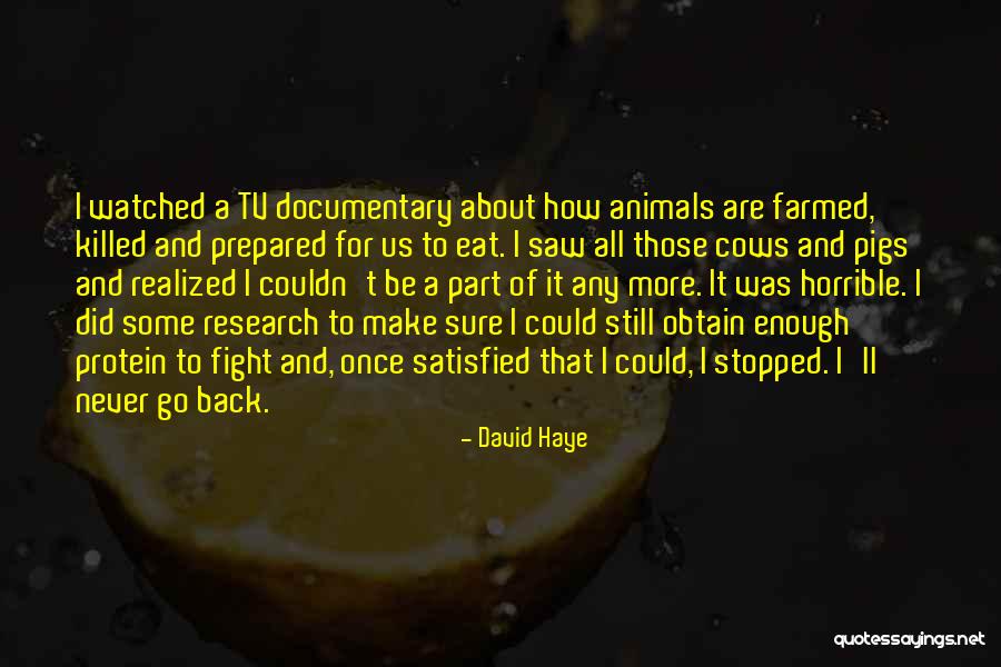 Talaya Water Quotes By David Haye Talaya Water Quotes By David Haye