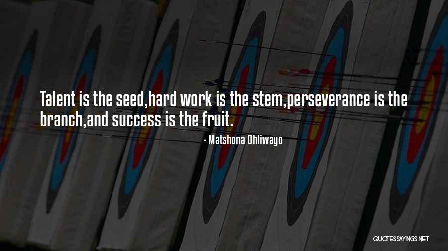 Talent And Hard Work Quotes By Matshona Dhliwayo