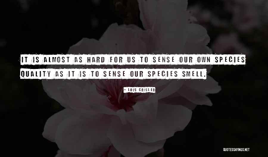 Talerze Quotes By Lois Crisler Talerze Quotes By Lois Crisler