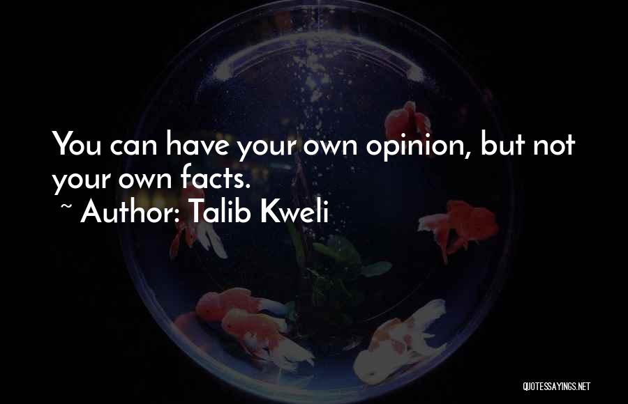 Talib Kweli Quotes 1313966