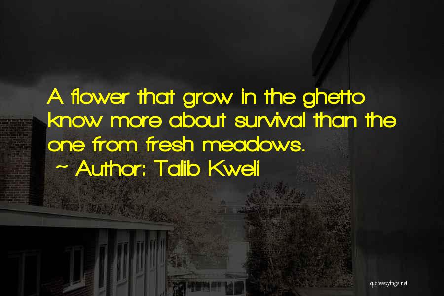 Talib Kweli Quotes 1493847